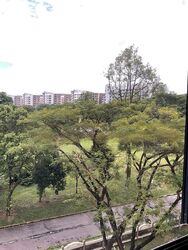 avon-park photo thumbnail #6